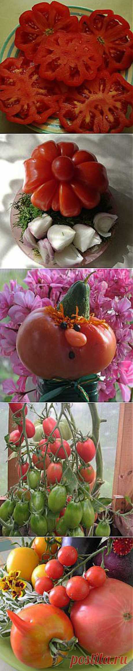 Home&amp;garden Сайт о растениях.
