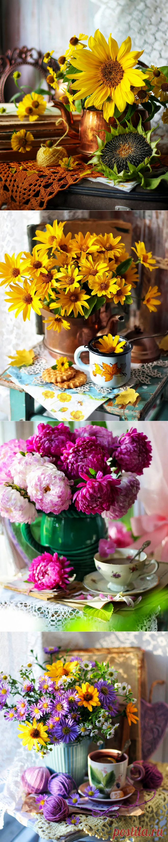 Осенние цветы...