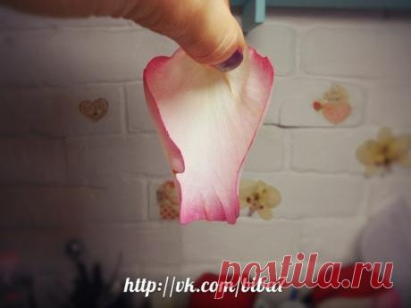 🌹Мастер-классы|Фоамиран|Товары для флористики🌹