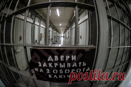 Начальница отдела МВД получила взятку от иностранца и попала в СИЗО. В Ленинградской области задержали начальницу отдела дознания ОМВД России по Тосненскому району за коррупцию. Женщина получила вознаграждение от фигуранта уголовного дела по статье 322.3 («Фиктивная постановка на учет иностранного гражданина или лица без гражданства по месту пребывания в Российской Федерации») УК РФ.
