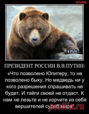 АНТИМАЙДАН И НАС 778 000 - СЛАВА БОГУ ЗА ВСЕ!
Оксана - ɐwʎ ɔ vǝmоɔ dиw