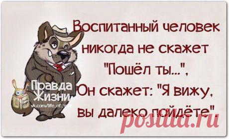 Petrovich - Симпатия: "Самый лучший способ не разочароваться — ничего ни от кого не ждать…"