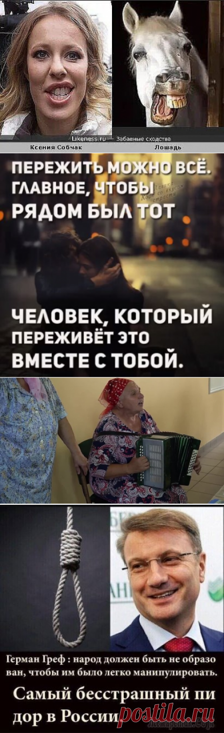 (46) Одноклассники