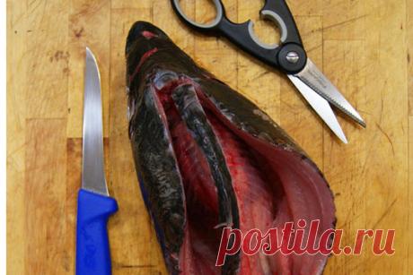 Медовый карп | Вкусно и просто!