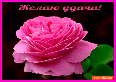 Открытка желаю великой удачи - Бесплатно на otkritkiok.ru