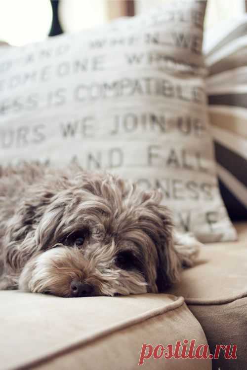 DIY: Stencil Text on Fabric