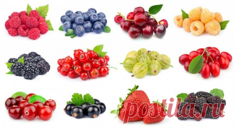 10 правил «волшебного» варенья — Вкусные рецепты