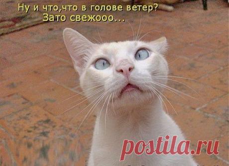 Филосф Василий...