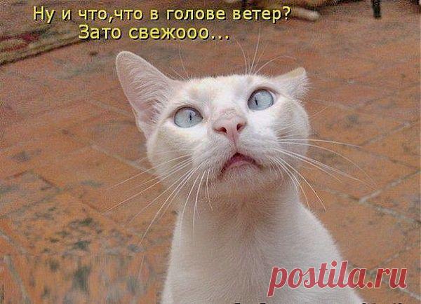 Филосф Василий...