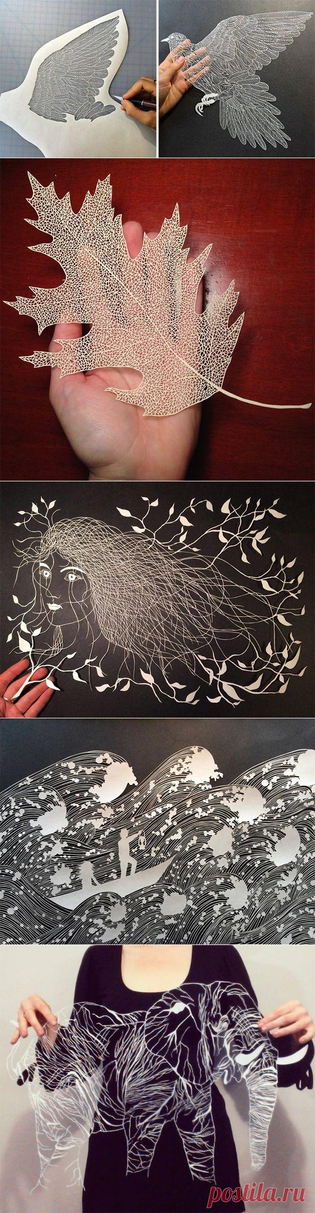 Изящные произведения из бумаги, вырезанные вручную (24 работы от Мод Уайт)