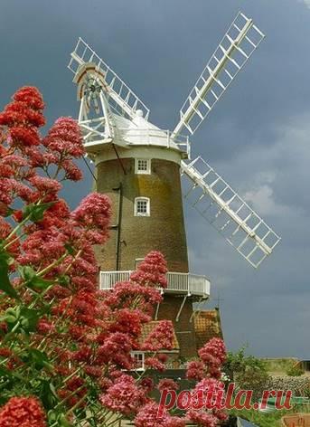Человеку, который почувствовал ветер перемен, лучше строить не щит от ветра, а ветряную мельницу.