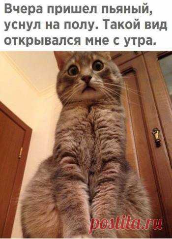 Татиана Кармишина