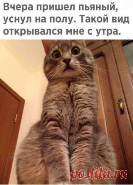 Татиана Кармишина