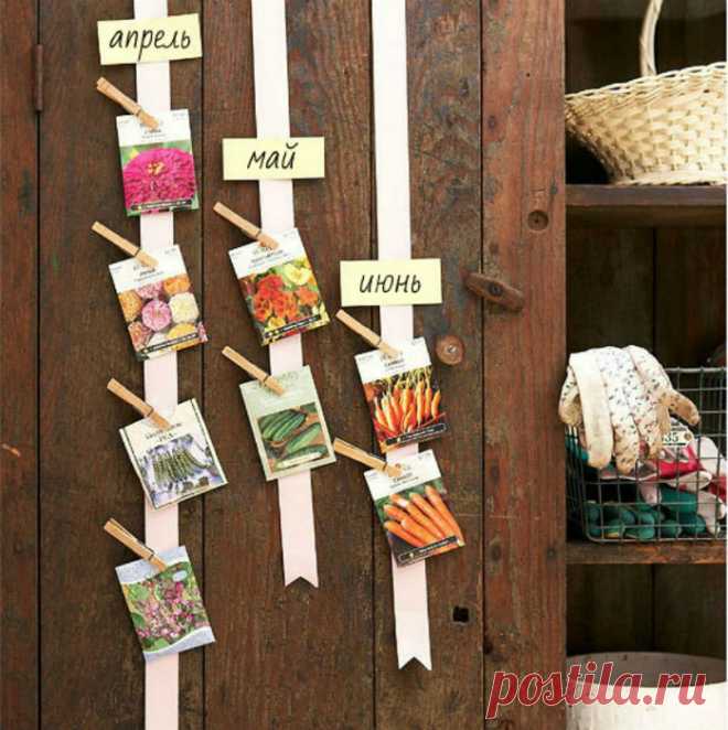 13 полезных советов для тех, кто уже одной ногой на даче - Дачный участок - медиаплатформа МирТесен