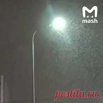 Первый снег сняли на видео жители Москвы и Санкт-Петербурга