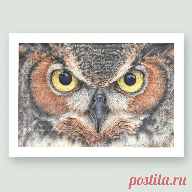 A Thousand Yard Stare - Eagle Owl wildlife art print by pencil artist Angie Buy limited edition prints and original wildlife art by UK pencil artist Angie, including stunning Eagle Owl portrait 'A Thousand Yard Stare'. Secure online ordering.