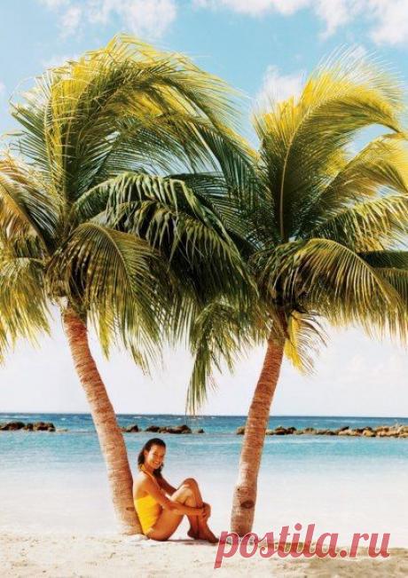 Curaçao, which became a country in October, has big plans—including being a launchpad, by 2014, for space tourism. For now, down-to-earth pleasures should suffice—say, this beach at Lions Dive & Beach Resort. |The Caribbean's Sunniest Isles