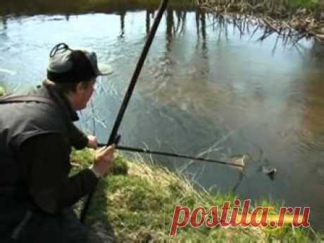 Ловля хариуса летом