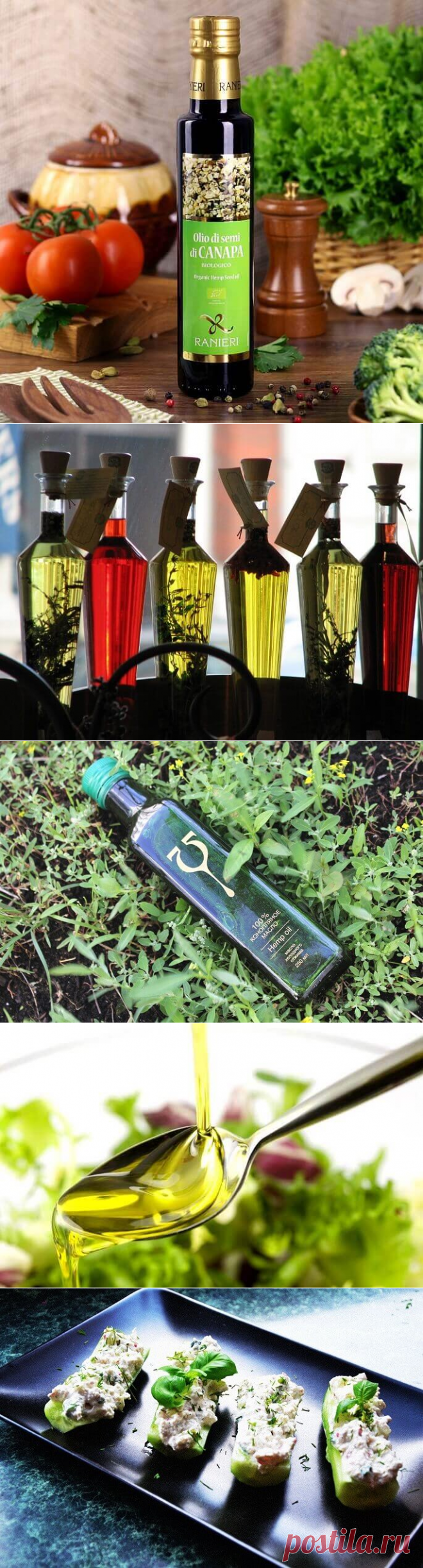 Конопляное масло — 10 правил употребления для здоровья тела