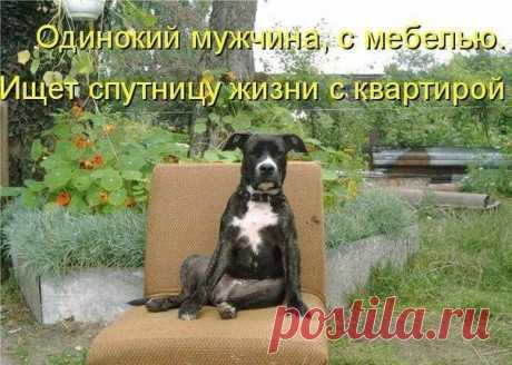 Архив открыток отправленных 3 Февраля 2016 года. Добавили: Umochka , Анастасия Леденькова, Nina Konisidi, Татьяна , Ирина Кремнева, Виктор Федоров, U U, Александр , Aleks К, Настена Сластена