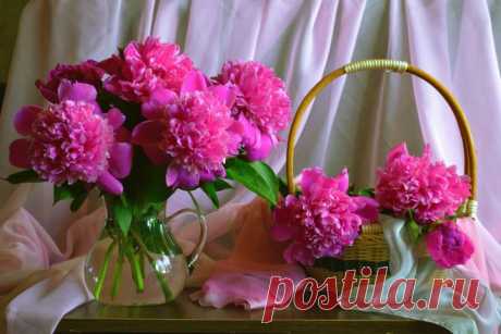 От всей души желаю счастья!