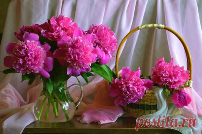 От всей души желаю счастья!...  http://www.playcast.ru/uploads/2014/09/18/9880798.swf