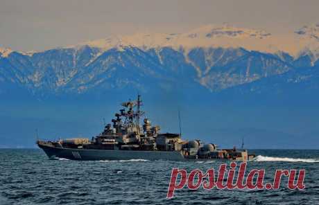 Пытливый (сторожевой корабль): 11 тыс изображений найдено в Яндекс.Картинках