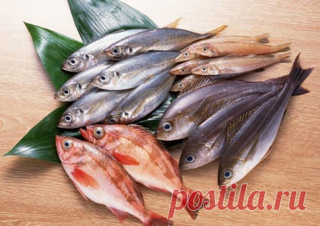 Черный список: 8 видов рыбы, от которой лучше отказаться - KitchenMag.ru