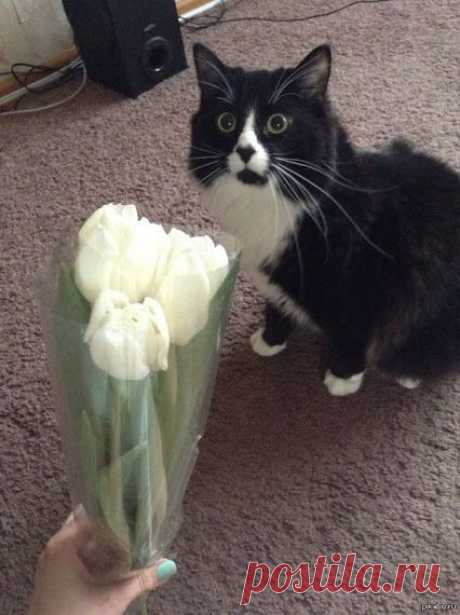 Популярное – Google+