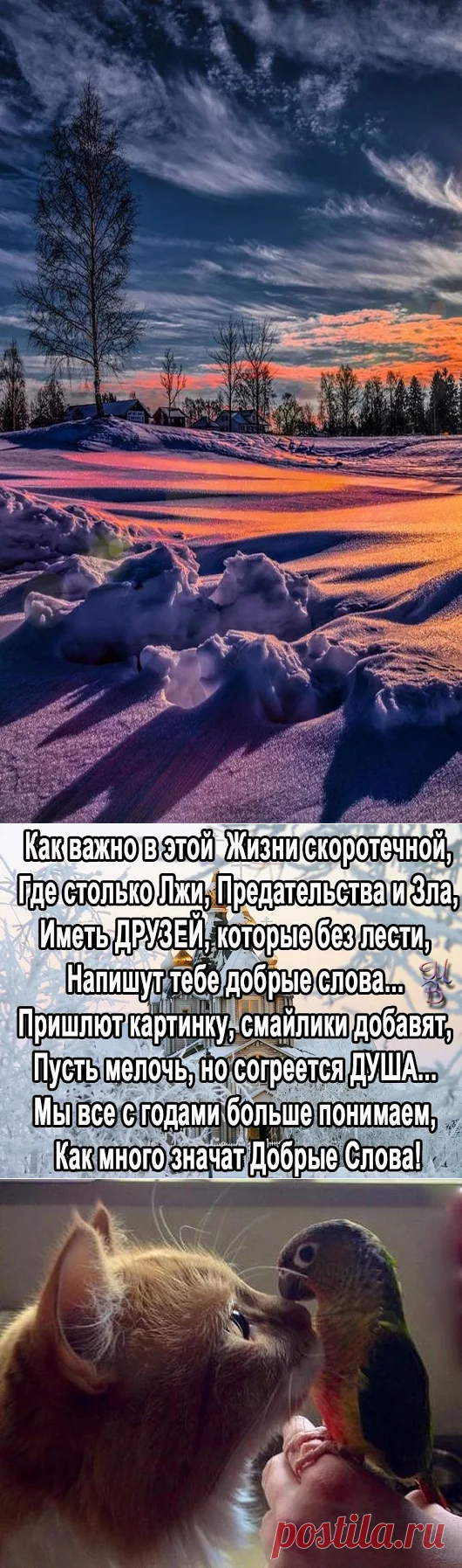 Очень красивые фото и картинки 🍒 beautiful photo – Google+