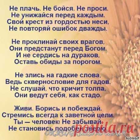 Завжди памятай ,що ти Людина !