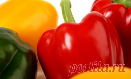 Перец сладкий: выращивание и уход, секреты, рекомендации