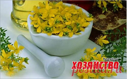 Травяной настой для продления молодости
