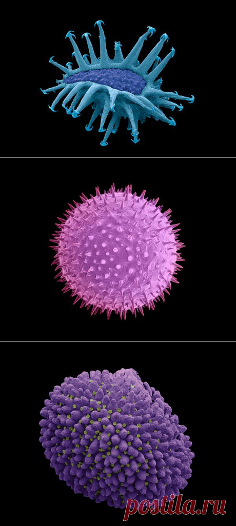 Показать все, что скрыто | Naked Science