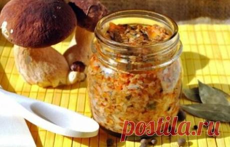 Икра из белых грибов на зиму через мясорубку