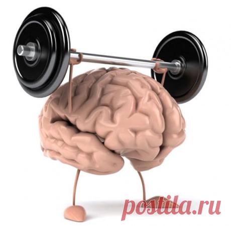 Упражнения, которые заставят работать мозг(+)