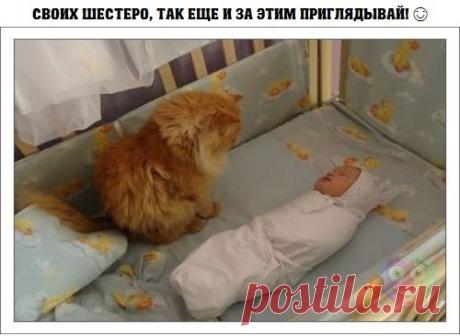 Интересные новости