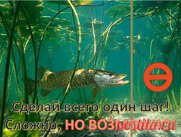 В большой аквариум поместили щуку. Сначала она плавала по всему аквариуму. Но потом одну его часть отгородили прозрачным толстым стеклом, и теперь щука не могла туда попасть. Она не видела преграду, просто каждый раз, когда она пыталась плыть в другую часть аквариума, натыкалась на препятствие. Долгое время щука билась в тщетных попытках пробить невидимую преграду. И вот, когда силы почти покинули её, она отступила. Учёные убрали стекло. Но щука больше никогда не возобновл...