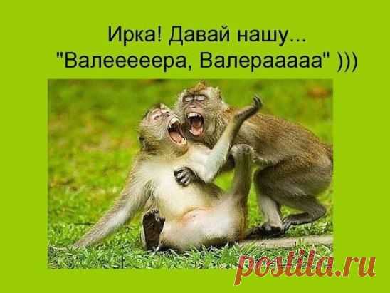 Прихожу домой после очередных посиделок с девочками, напеваю «У меня появился другоооой…»
Муж прислушался и спрашивает: «А куда Валера делся?»