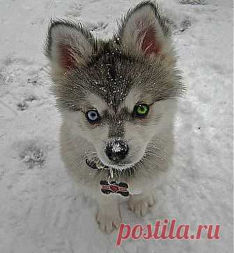 хорош........до невозможности!!!!!!!!