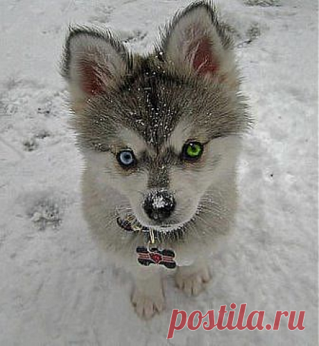 хорош........до невозможности!!!!!!!!