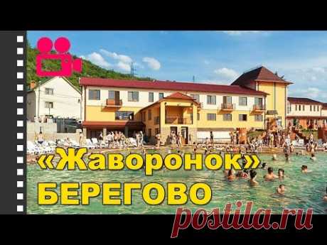 Отель "Жаворонок" Берегово. Отдых в Карпатах