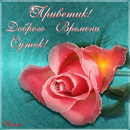 Живые фотографии – Сообщество – Google+