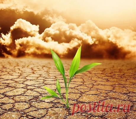 Фотографии пустыни и засухи