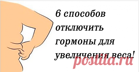 6 способов отключить гормоны для увеличения веса! Следите за уровнем своих гормонов! Мы все знаем, насколько трудным может быть процесс потери веса, но знаете ли вы, что в нашем организме есть гормоны,