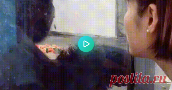 Настоящий полковник! :)