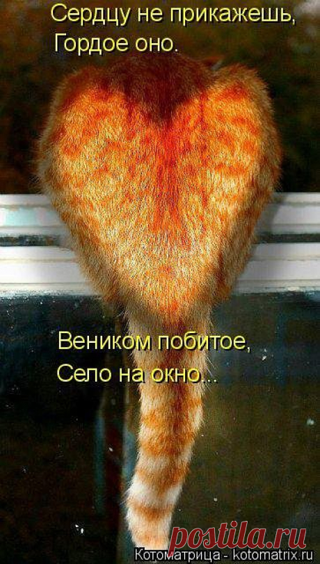 Медики лечат ПОЗИТИВОМ
Галина Ноздрина (Глушаева)