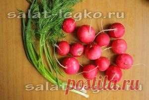 Салат с редиской и яйцом