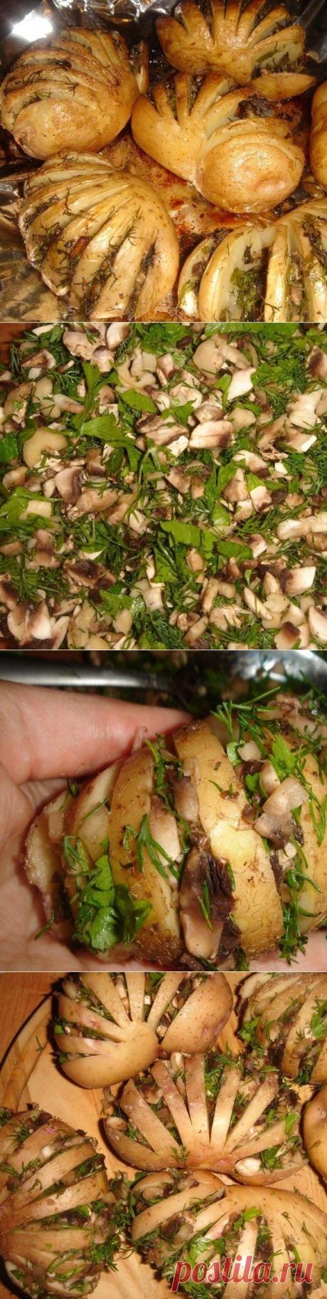 Как приготовить картошка-гармошка - , ингридиенты и фотографии