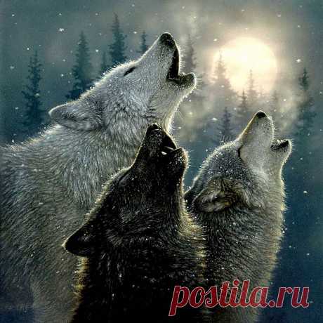 Американский художник Collin Bogle
